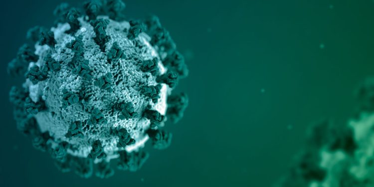 Salud Pública notifica 478 casos de Covid-19, no se registraron defunciones