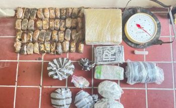 PN ocupa miles de gramos de distintos tipos de drogas en Bonao