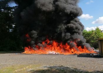 Procuraduría incinera más de 1,666 kilogramos de diversas drogas