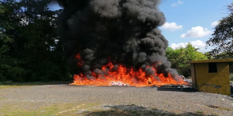 Procuraduría incinera más de 1,666 kilogramos de diversas drogas