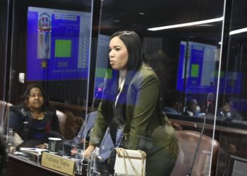 Diputada recomienda a Abinader no perder su tiempo hablando de explotación minera en SJM