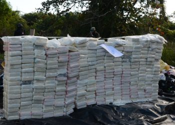 Autoridades incineran 1,332 kilogramos de diferentes drogas