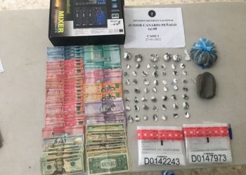 Autoridades ocuparon más de 217 mil gramos de distintas drogas, en operativos realizados en enero￼