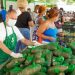 Más de 7 millones de personas han comprado alimentos a bajos costos en el Inespre￼