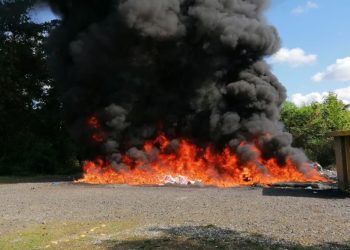 La Procuraduría incinera más de media tonelada de drogas