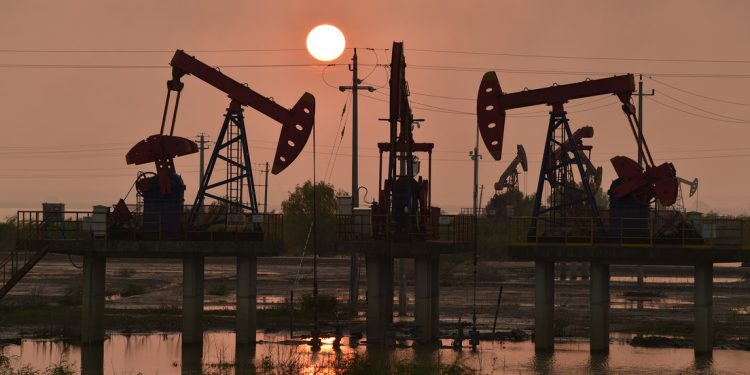 Subida sin precedentes: ¿Cómo quedó el mercado de materias primas días después de la imposición de sanciones contra Rusia?