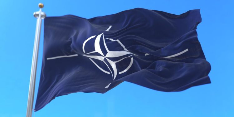 China: La OTAN debería haberse disuelto tras la desintegración de la Unión Soviética