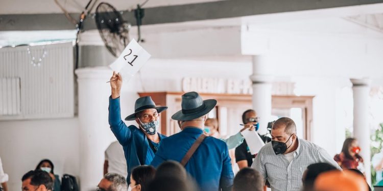 Bienes Nacionales realizara subasta de vehículos reparables y otros mobiliarios