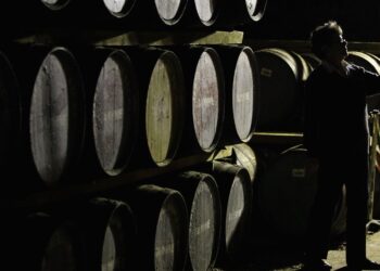 Diageo compra una empresa de tecnología de sabores para agilizar la exploración de bebidas y el camino hacia la compra