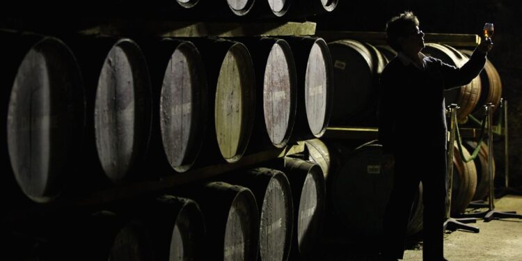 Diageo compra una empresa de tecnología de sabores para agilizar la exploración de bebidas y el camino hacia la compra