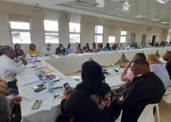 Comité Ejecutivo CNTD establece cesantía laboral es innegociable