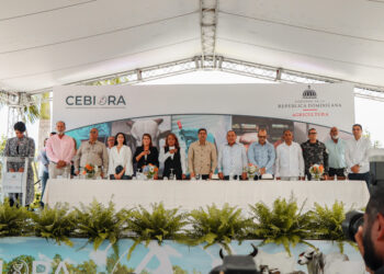 Presidente Abinader cuenta con las bases de exhibir a Bienes Nacionales y el CEA como instituciones fuertes con mira a la fusión