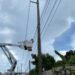 ETED TRABAJARÁ ESTE SÁBADO EN AMPLIACIÓN DE REDES EN BOCA CHICA&nbsp;
