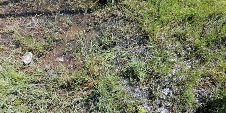 ANADERAVEM suspende actividades por fuga de agua en tubería principal del Acueducto Barrera de Salinidad