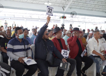 Bienes Nacionales subastó vehículos y mobiliarios por más de 15 millones