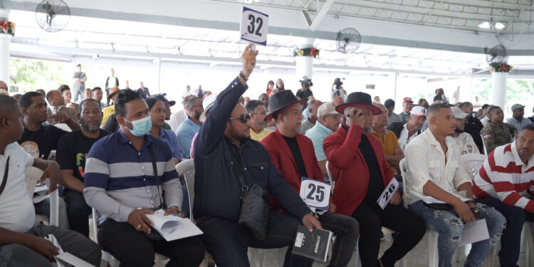 Bienes Nacionales subastó vehículos y mobiliarios por más de 15 millones