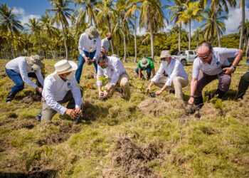 ETED DESARROLLA JORNADA DE REFORESTACIÓN, FOMENTA   RECUPERACIÓN DE MANGLARES Y ECOSISTEMAS