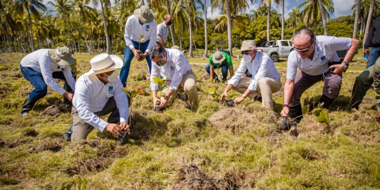 ETED DESARROLLA JORNADA DE REFORESTACIÓN, FOMENTA   RECUPERACIÓN DE MANGLARES Y ECOSISTEMAS
