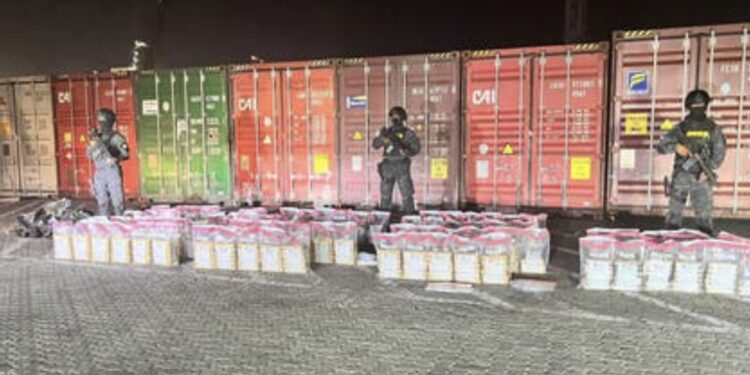 DNCD se incauta 451 paquetes de coca dentro de un contenedor de pieles, en Boca Chica