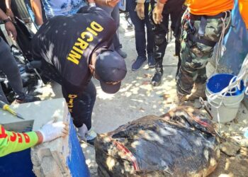 Encuentran cuerpo de hombre en una maleta en la Vega