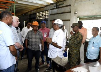 Consejo Estatal del Azúcar anuncia actividades transformación ingenio Porvenir