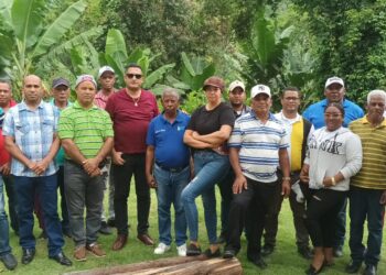 Renuncian dos regidores y 13 miembros de la dirección municipal del PLD de Polo en Barahona