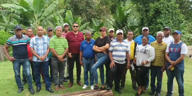 Renuncian dos regidores y 13 miembros de la dirección municipal del PLD de Polo en Barahona
