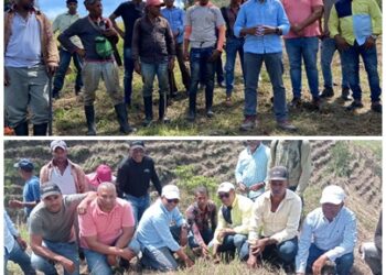 GOLDQUEST inicia plan de reforestación cuenca media del río San Juan en el entorno del proyecto Romero