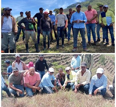 GOLDQUEST inicia plan de reforestación cuenca media del río San Juan en el entorno del proyecto Romero