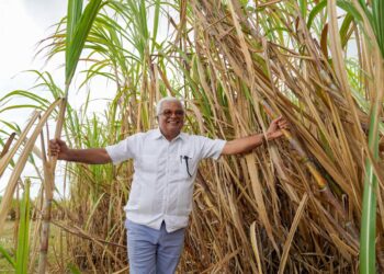 CEA alista operaciones ingenio Porvenir con producción de 200,000 toneladas de azúcar