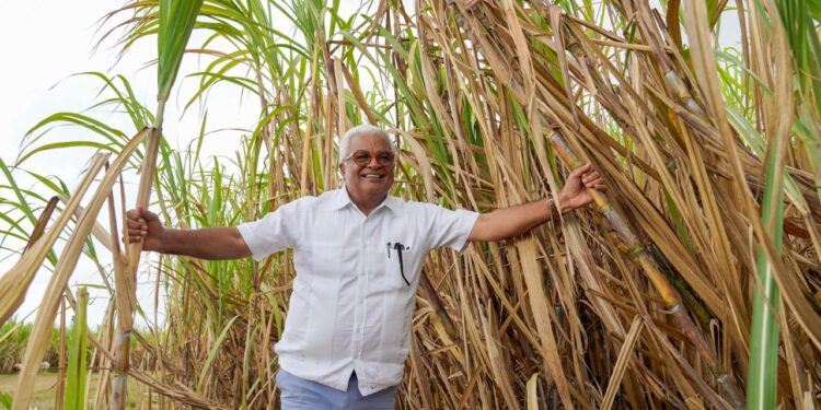 CEA alista operaciones ingenio Porvenir con producción de 200,000 toneladas de azúcar