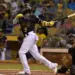 Las Águilas Cibaeñas conquistan el campeonato de la Liga Dominicana