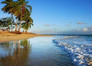 Oportunidades exclusivas en Las Terrenas: ¡Inversiones Inmobiliarias con Alto Potencial de Crecimiento!