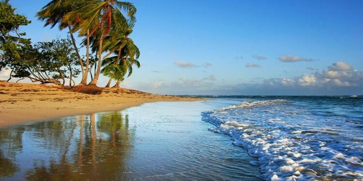 Oportunidades exclusivas en Las Terrenas: ¡Inversiones Inmobiliarias con Alto Potencial de Crecimiento!