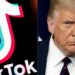 Donald Trump Debuta en TikTok en Medio de Controversias Legales