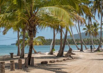 Descubre Las Terrenas: El Nuevo Paraíso para Inversores Inmobiliarios