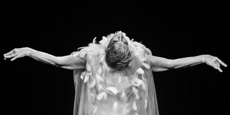 EDANCO 2024 finaliza con la “Noche Dominicana” y “A la inversa”