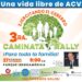 Fundación Dominicana de Accidente Cerebral anuncia tercera caminata “Ejercitando el cerebro”