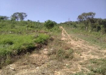 Familia Féliz Carrasco herederos de terreno de sus padres en Barahona, confían sentencias de tribunales a su favor