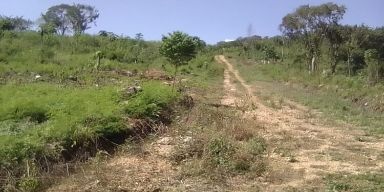 Familia Féliz Carrasco herederos de terreno de sus padres en Barahona, confían sentencias de tribunales a su favor