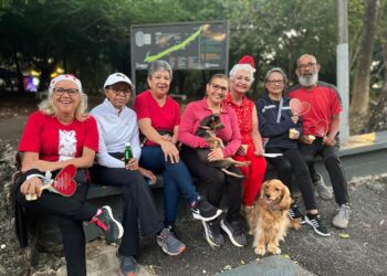 Celebran tradicional «Té Navideño» en el Parque Mirador Sur