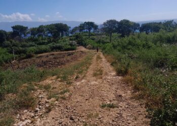 Familia Féliz Carrasco pide a juez Manuel González, no dejarse confundir por invasores de tierras en audiencia contra Belfon