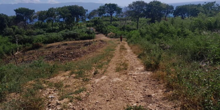 Familia Féliz Carrasco pide a juez Manuel González, no dejarse confundir por invasores de tierras en audiencia contra Belfon