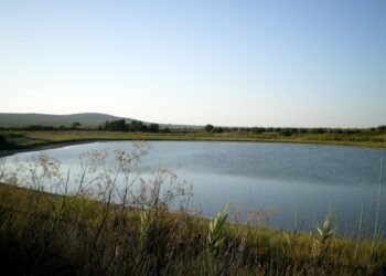 La Red Socioambiental Nacional denuncia crimen ecológico en la Laguna de Rincón y exige acciones urgentes del Estado