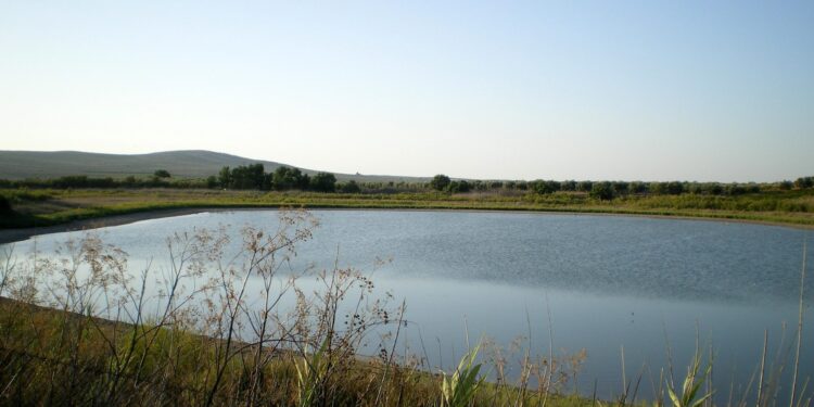 La Red Socioambiental Nacional denuncia crimen ecológico en la Laguna de Rincón y exige acciones urgentes del Estado