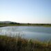 La Red Socioambiental Nacional denuncia crimen ecológico en la Laguna de Rincón y exige acciones urgentes del Estado