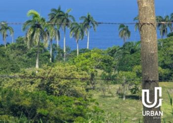 Terreno de 10.6 ha en Cabrera: ubicación estratégica y potencial de desarrollo