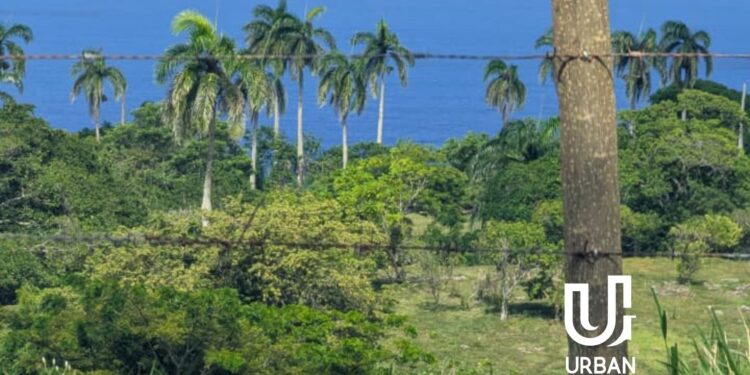 Terreno de 10.6 ha en Cabrera: ubicación estratégica y potencial de desarrollo