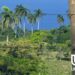 Terreno de 10.6 ha en Cabrera: ubicación estratégica y potencial de desarrollo