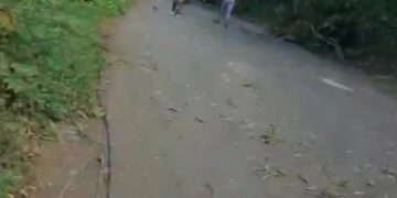 Edeeste informa interrupción del servicio eléctrico en Peralvillo se debe a corte de árboles por protesta de asfaltado